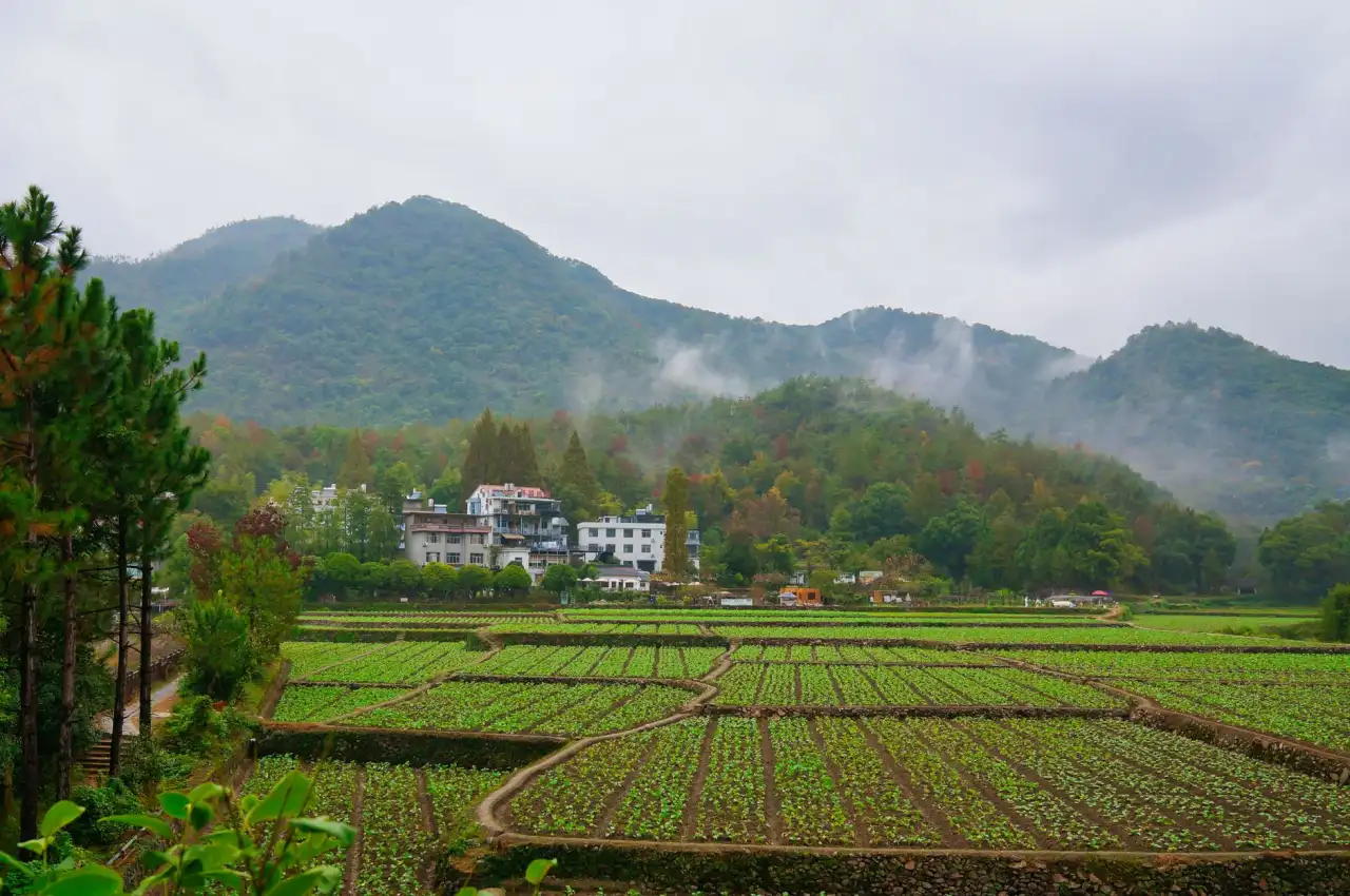 企业建站中响应式设计与SEO优化的协同策略探讨